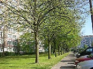 Hotel&gästehaus Lütten Klein Hotel